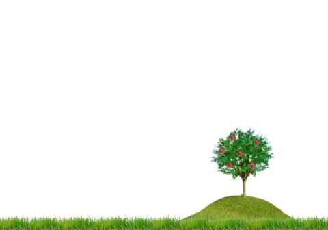 Medow Stock Illustration