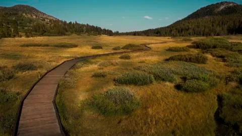 Medow Path Stock Photos