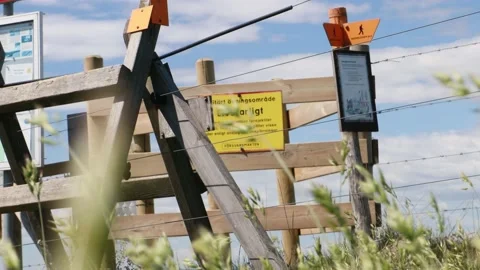 Medow in Skåne Stock Footage 131516924