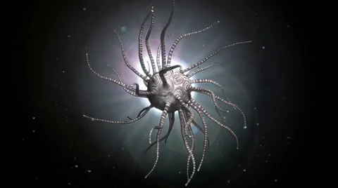 Medusa Deep Sea Creature Wiggles Stock Footage