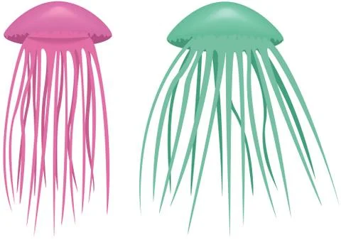 Medusa Stock Illustration