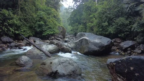 Meenmutty, Kallar river, dense forest, Thiruvananthapuram, Kerala Stock Footage 225226408
