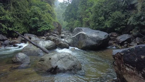Meenmutty, Kallar river, dense forest, Thiruvananthapuram, Kerala Stock Footage 225226562