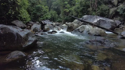 Meenmutty, Kallar river, dense forest, Thiruvananthapuram, Kerala Stock Footage 225235309