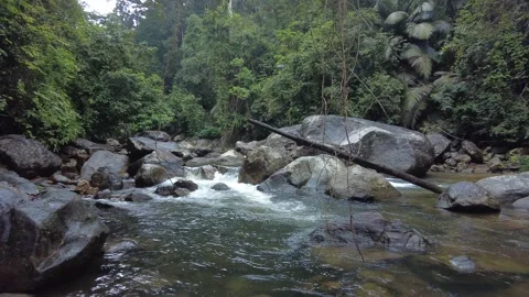 Meenmutty, Kallar river, dense forest, Thiruvananthapuram, Kerala Stock Footage 225235506