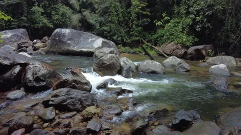 Meenmutty, Kallar river, dense forest, Thiruvananthapuram, Kerala Stock Footage 225235766