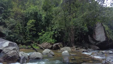 Meenmutty, Kallar river, dense forest, Thiruvananthapuram, Kerala Stock Footage 225235918