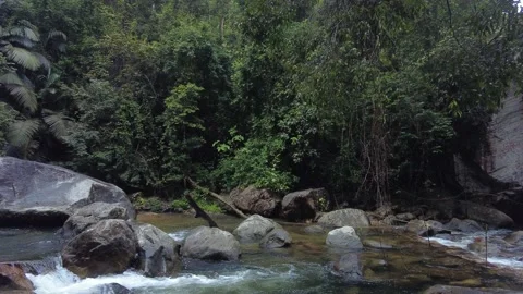 Meenmutty, Kallar river, dense forest, Thiruvananthapuram, Kerala Stock Footage 225236108