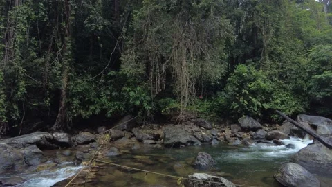 Meenmutty, Kallar river, dense forest, Thiruvananthapuram, Kerala Stock Footage 228001816