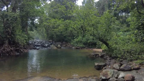 Meenmutty, Kallar river, dense forest, Thiruvananthapuram, Kerala Video stock 228002599