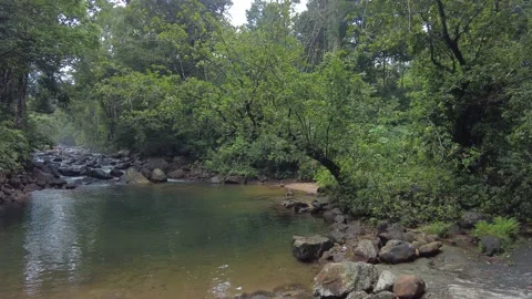 Meenmutty, Kallar river, dense forest, Thiruvananthapuram, Kerala 스톡 동영상 228002654