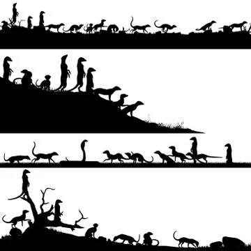 Meercat foregrounds Stock Illustration