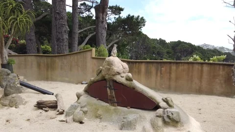 Meerkat On Alert Stock Footage 157376754