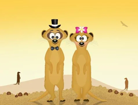 Meerkats in love Stock Illustration