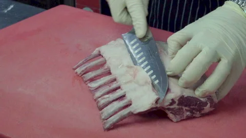 Meet preparation Stock Footage 134853893