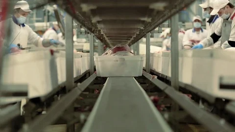 Meet Processing Plant Vidéo 75820126