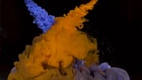 Meeting Of Colors Видео 332616802