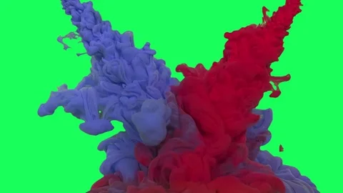 Meeting Of Colors 스톡 동영상 333199608