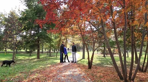 At meeting Stock Footage 42707063