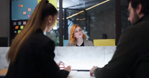 Meeting in an office setting with two people discussing a project, taking Stock Footage 343016732