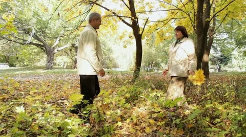 Meeting In The Park Video stock 52559980