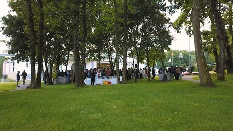 MEETING OF PEOPLE UNDER THE TREES Stock Footage 111578141