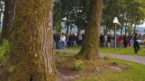 MEETING OF PEOPLE UNDER THE TREES Stock Footage 111578151