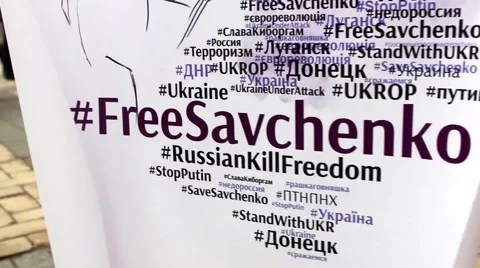 Meeting Of Save Savchenko In Kiev Stock Footage 47441333