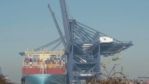 Mega container ship alongside "Port of Felixstowe" "River Orwell " Suffolk Stock Footage 103637626