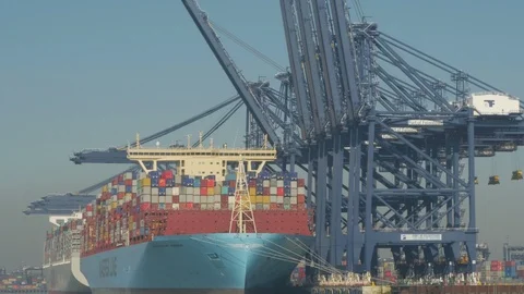 Mega container ships alongside "Port Of Felixstowe" "River Orwell " Suffolk Stock Footage 103637385