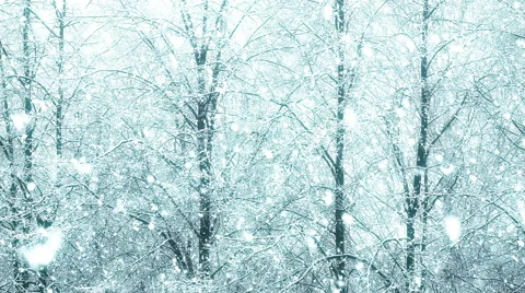 Mega extra big global snowfall loop tree winter forest Stock Footage 48995079