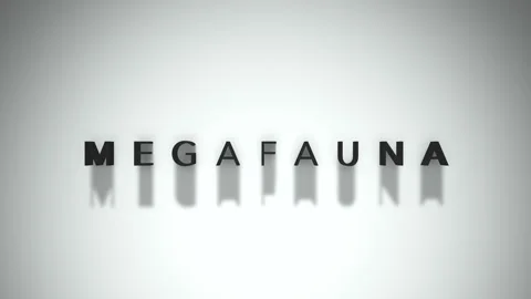 Megafauna 3D title animation matte black text on a white background Stock Footage 300718388