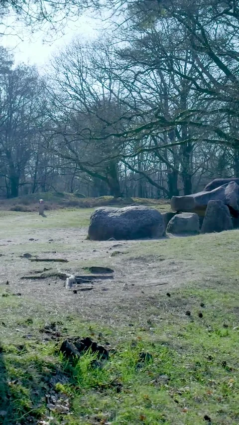Megalithic Burial Mound In Sunlit Forest Landscape Stock Footage 335477731