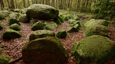 Megalithic grave in thuine, camera crane driving upwards Video stock 201533074