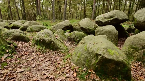 Megalithic grave in thuine, tracking shot sideways with gimbal Video stock 201533067