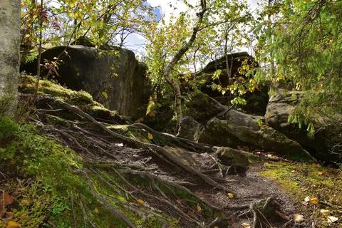 Megalithic rocks of quartz sandstone with a through opening in the Kamenny Go Stock Photos