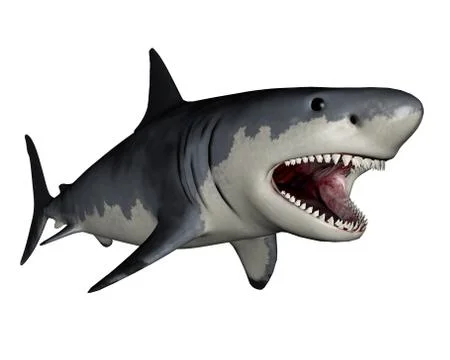 Megalodon dinosaur - 3D render Stock Illustration