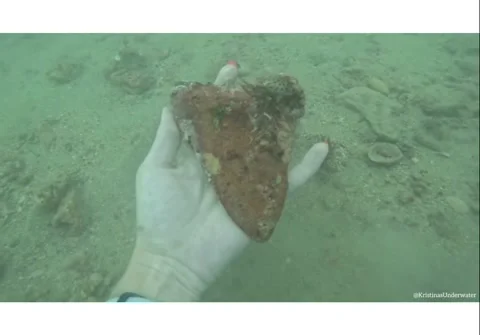 Megalodon Tooth Found Diving, Venice, Florida, USA - 24 May 2025 Видео 310012827