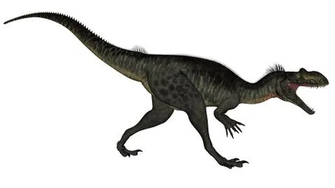Megalosaurus dinosaur - 3D render Stock Illustration