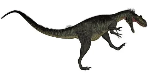 Megalosaurus dinosaur - 3D render Stock Illustration