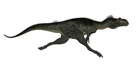 Megalosaurus dinosaur - 3D render Stock Illustration