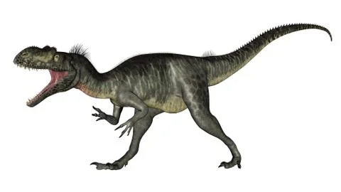 Megalosaurus dinosaur roaring - 3D render Stock Illustration