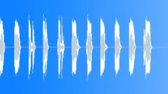 Megaphone - female countdown Sound Effect