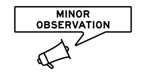Megaphone icon with speech bubble in word minor observation on white backgrou Stock Illustration