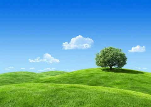 Megapixel lea with tree template - nature collection Stock Illustration