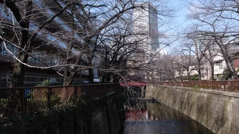Meguro RIver Video stock 104167270