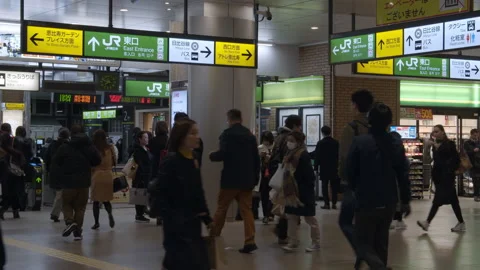 Meguro Train Station Stock Footage 139521334