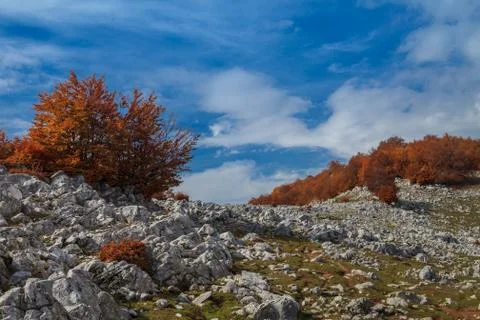 Mehedinti mountains Stock Photos