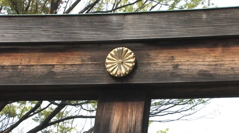 Meiji Shrine Stock Footage 39334243