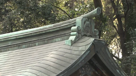 Meiji Shrine Stock Footage 39334362